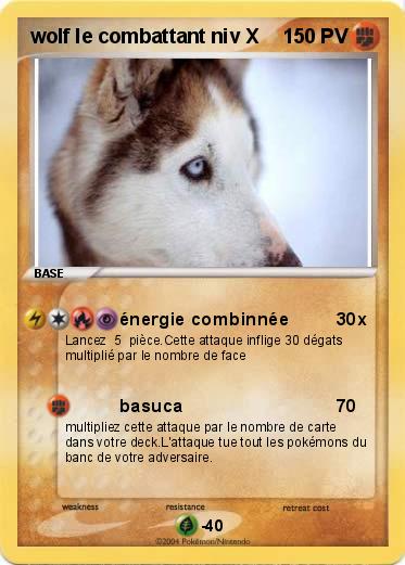 Pokemon wolf le combattant niv X