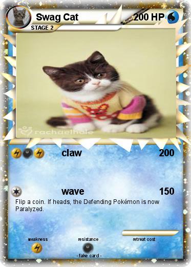 Pokemon Swag Cat