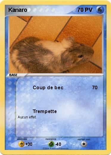 Pokemon Kanaro