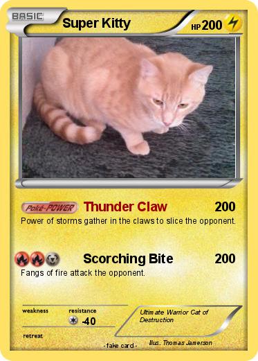 Pokemon Super Kitty