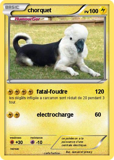Pokemon chorquet