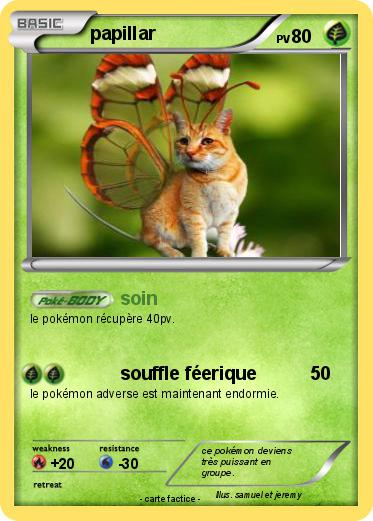 Pokemon papillar