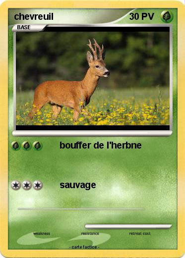 Pokemon chevreuil