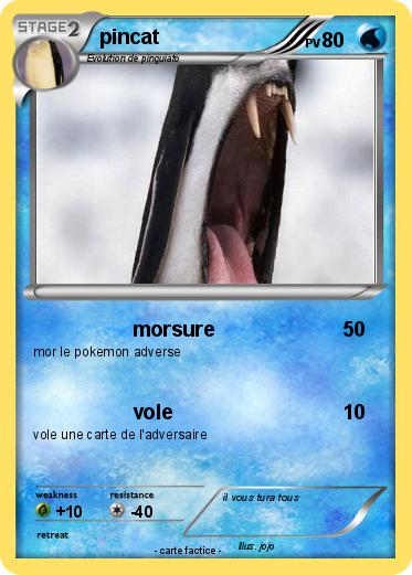 Pokemon pincat