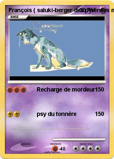 Pokemon François ( saluki-berger des pyrénées mix )