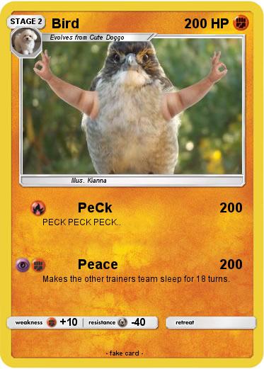 Pokemon Bird