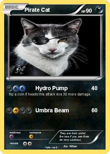 Pokemon Pirate Cat