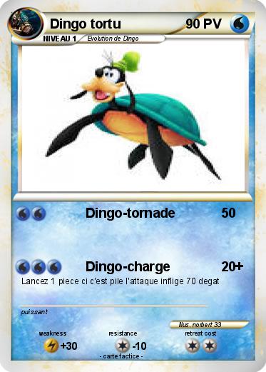 Pokemon Dingo tortu