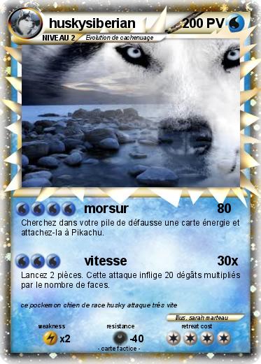 Pokemon huskysiberian