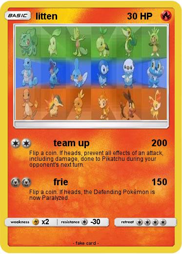 Pokemon litten