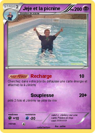 Pokemon Jeje et la picnine