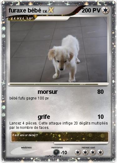Pokemon furaxe bébé