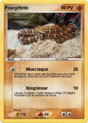 Pokemon Fourgiflette
