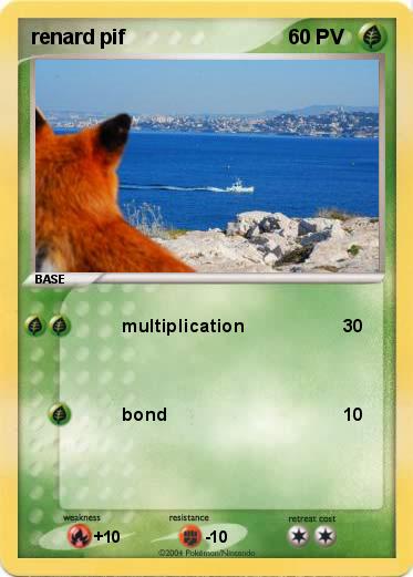 Pokemon renard pif