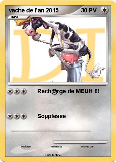 Pokemon vache de l'an 2015