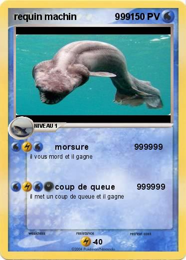 Pokemon requin machin               999