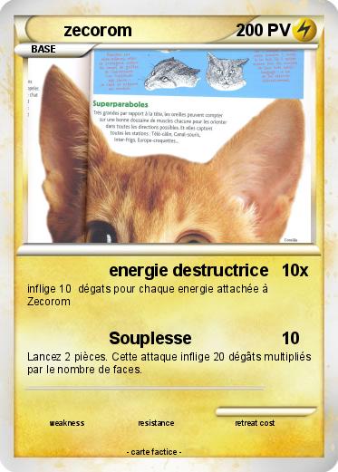 Pokemon zecorom