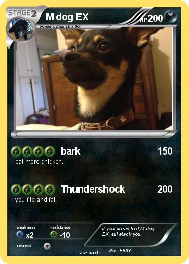 Pokemon M dog EX