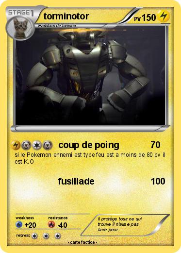 Pokemon torminotor