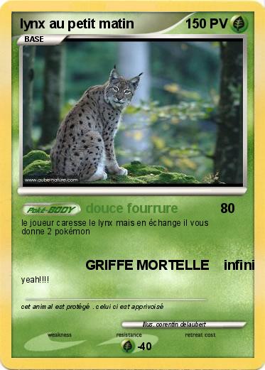 Pokemon lynx au petit matin