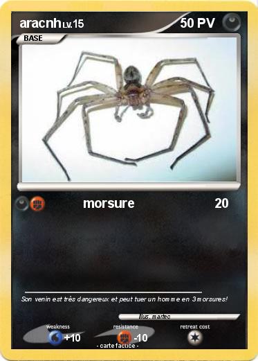 Pokemon aracnh