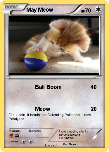 Pokemon May Meow