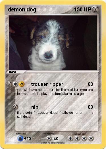 Pokemon demon dog