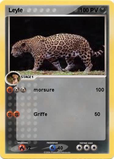 Pokemon Leyle