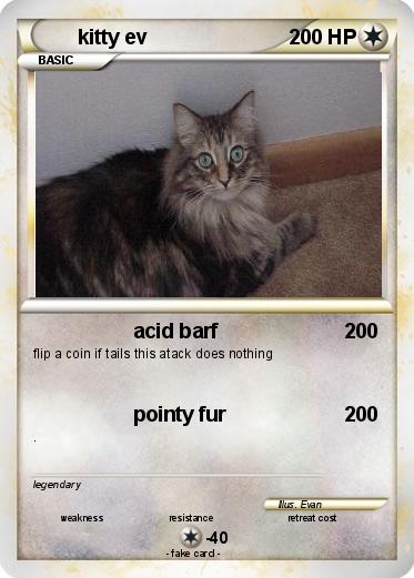 Pokemon kitty ev