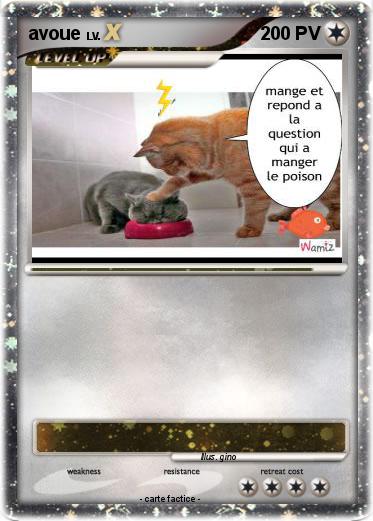 Pokemon avoue
