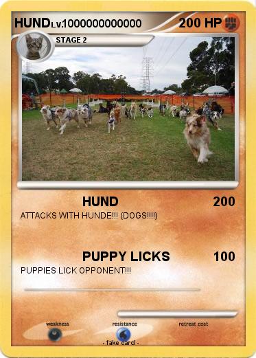 Pokemon HUND