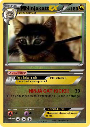 Pokemon Ninjakatt