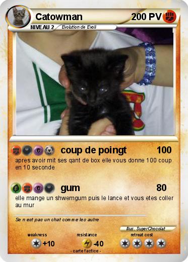 Pokemon Catowman