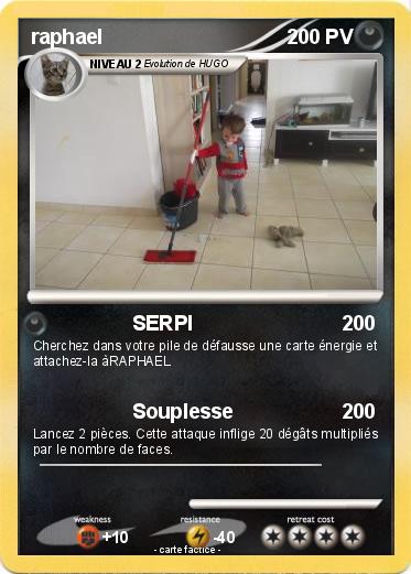 Pokemon raphael