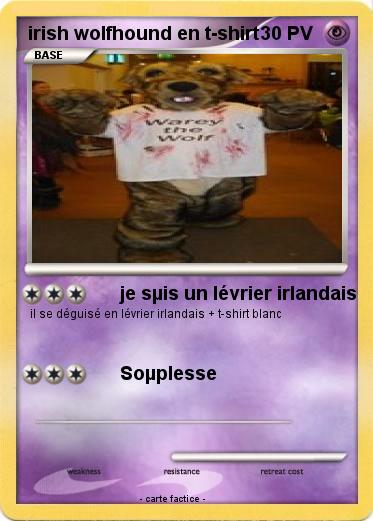 Pokemon irish wolfhound en t-shirt
