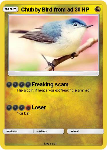 Pokemon Chubby Bird from ad