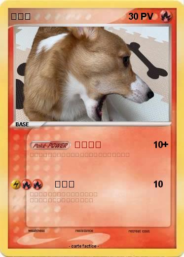 Pokemon きなこ