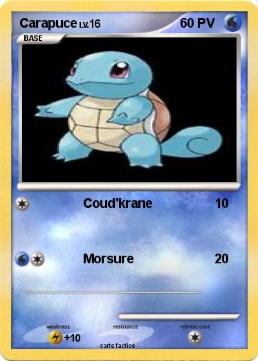 Pokemon Carapuce