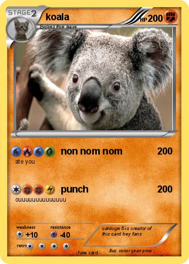 Pokemon koala