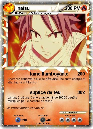 Pokemon natsu