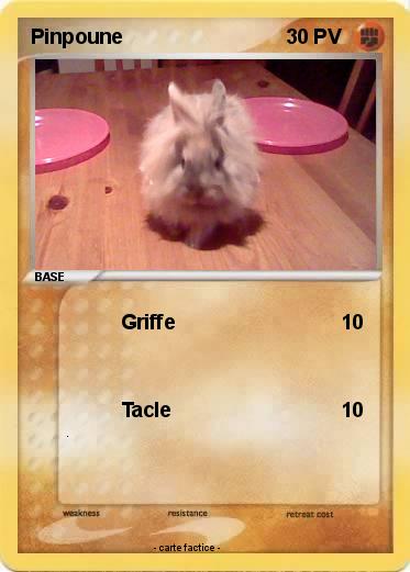 Pokemon Pinpoune