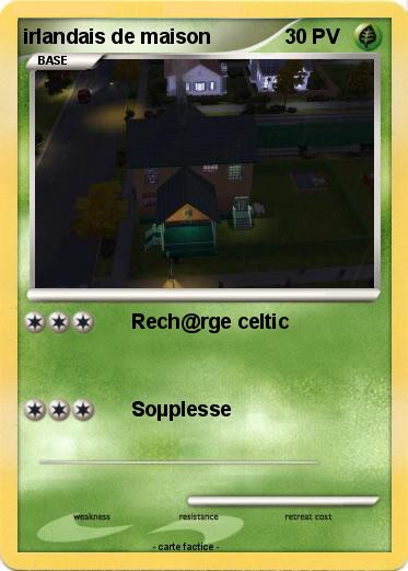 Pokemon irlandais de maison