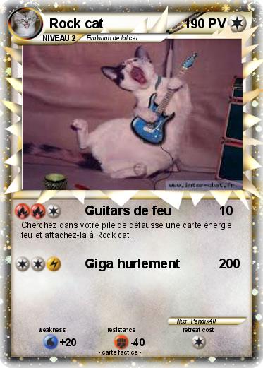 Pokemon Rock cat