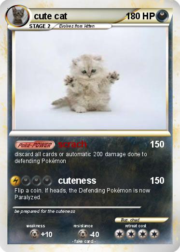 Pokemon cute cat