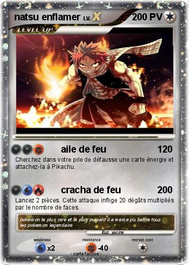 Pokemon natsu enflamer