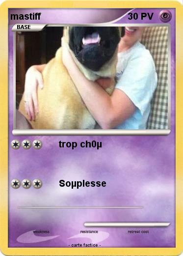 Pokemon mastiff