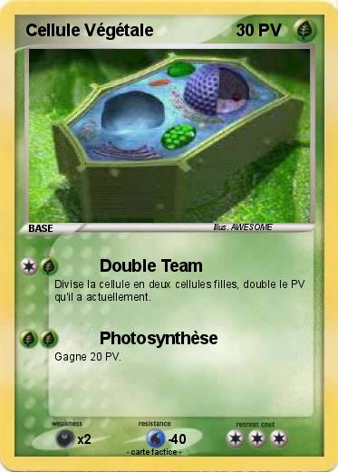 Pokemon Cellule Végétale