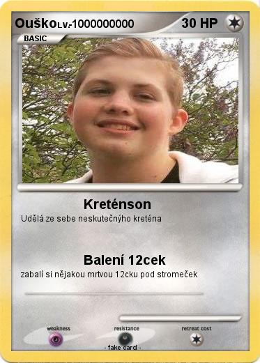 Pokemon Ouško