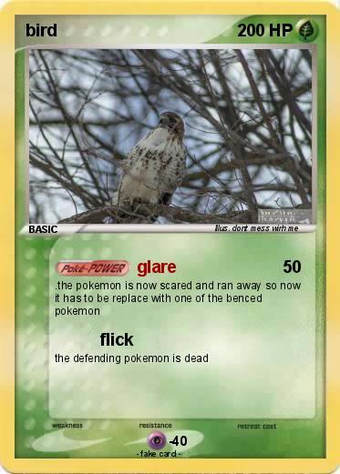 Pokemon bird