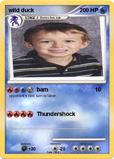 Pokemon wild duck